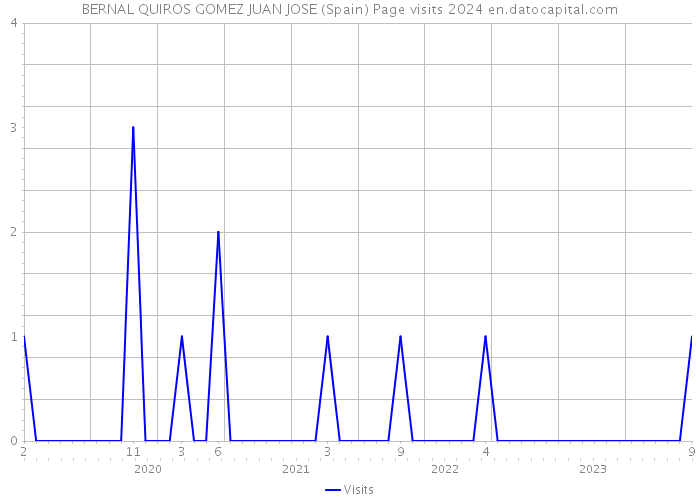 BERNAL QUIROS GOMEZ JUAN JOSE (Spain) Page visits 2024 