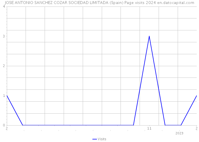 JOSE ANTONIO SANCHEZ COZAR SOCIEDAD LIMITADA (Spain) Page visits 2024 