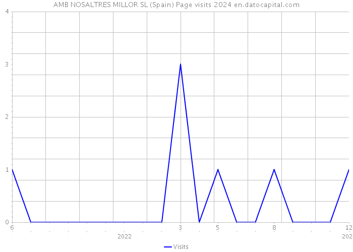 AMB NOSALTRES MILLOR SL (Spain) Page visits 2024 
