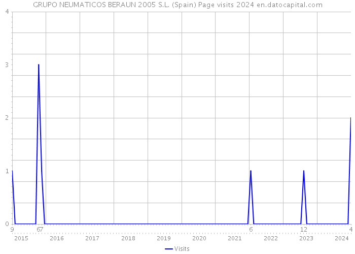 GRUPO NEUMATICOS BERAUN 2005 S.L. (Spain) Page visits 2024 