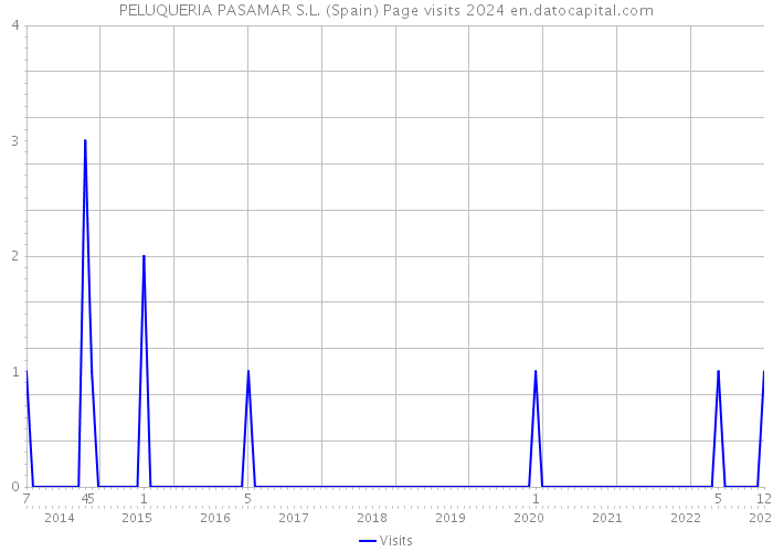 PELUQUERIA PASAMAR S.L. (Spain) Page visits 2024 