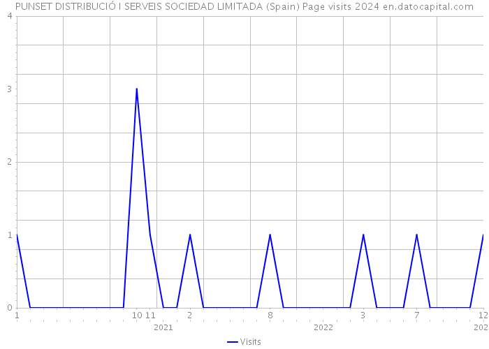 PUNSET DISTRIBUCIÓ I SERVEIS SOCIEDAD LIMITADA (Spain) Page visits 2024 