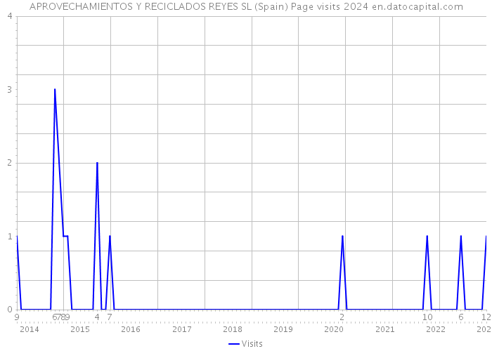 APROVECHAMIENTOS Y RECICLADOS REYES SL (Spain) Page visits 2024 