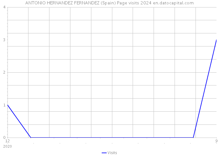 ANTONIO HERNANDEZ FERNANDEZ (Spain) Page visits 2024 