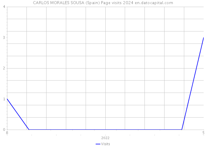 CARLOS MORALES SOUSA (Spain) Page visits 2024 