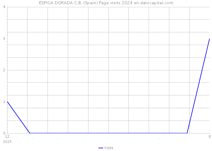 ESPIGA DORADA C.B. (Spain) Page visits 2024 