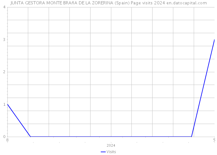 JUNTA GESTORA MONTE BRAñA DE LA ZORERINA (Spain) Page visits 2024 