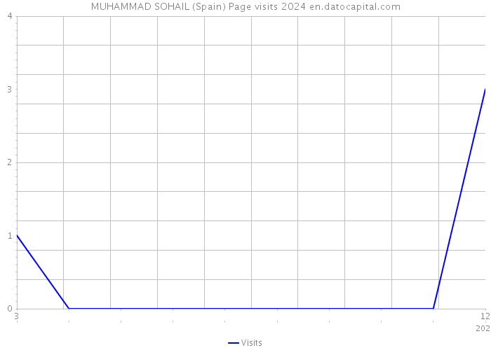 MUHAMMAD SOHAIL (Spain) Page visits 2024 