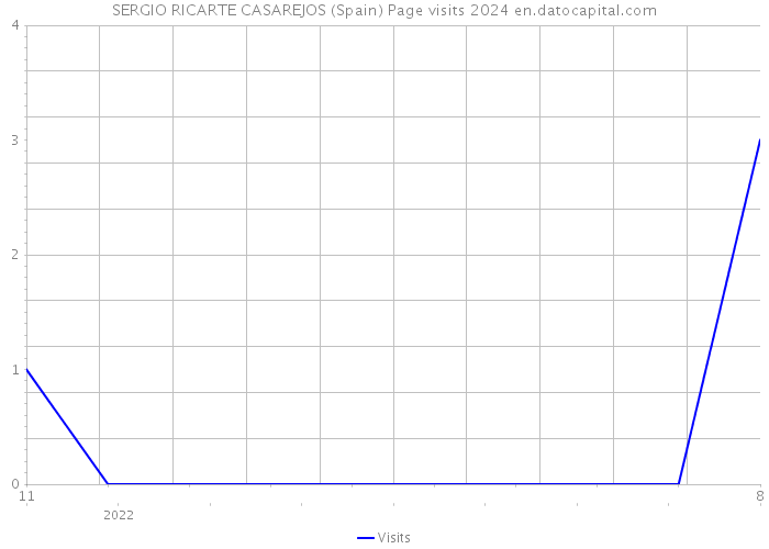 SERGIO RICARTE CASAREJOS (Spain) Page visits 2024 