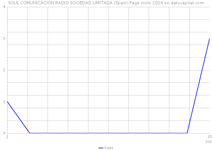 SOUL COMUNICACION RADIO SOCIEDAD LIMITADA (Spain) Page visits 2024 