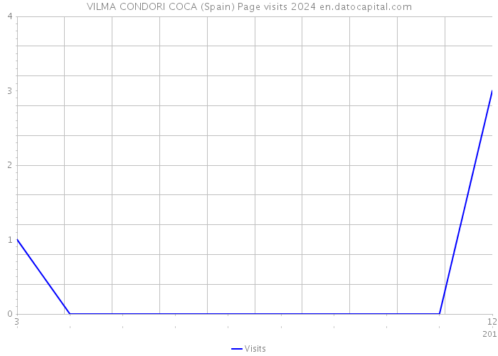 VILMA CONDORI COCA (Spain) Page visits 2024 