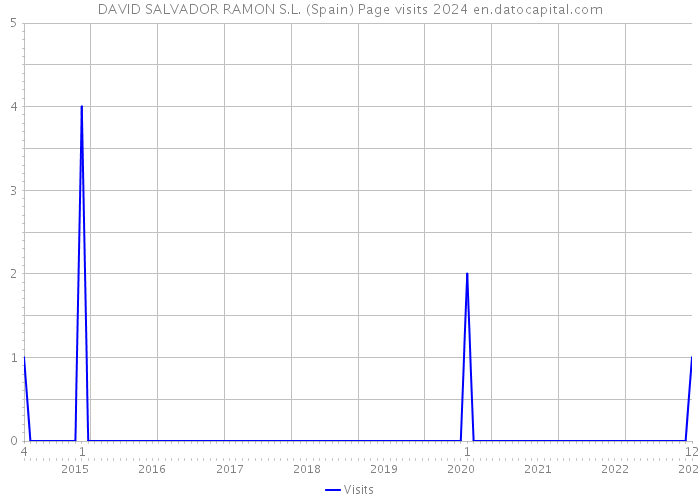 DAVID SALVADOR RAMON S.L. (Spain) Page visits 2024 
