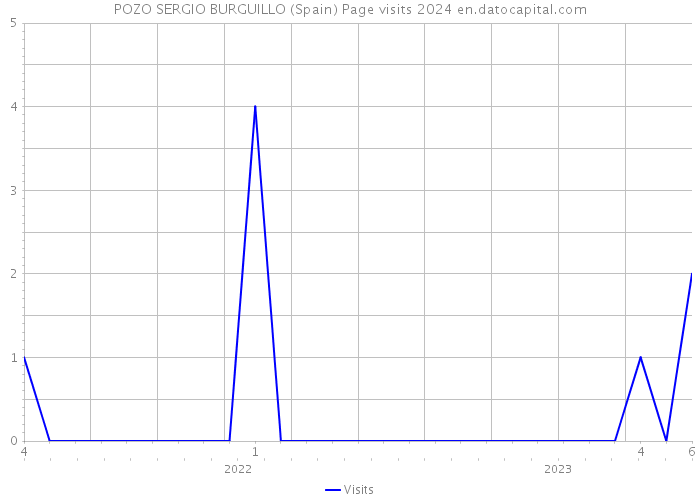 POZO SERGIO BURGUILLO (Spain) Page visits 2024 