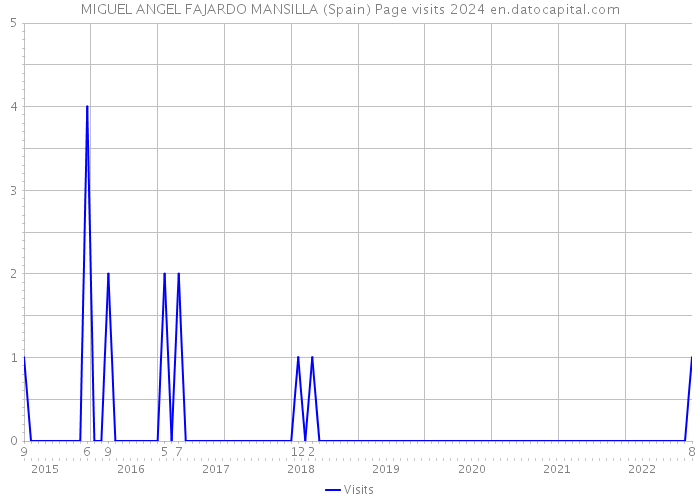 MIGUEL ANGEL FAJARDO MANSILLA (Spain) Page visits 2024 