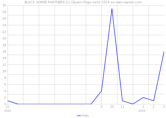 BLACK HORSE PARTNERS S.L (Spain) Page visits 2024 