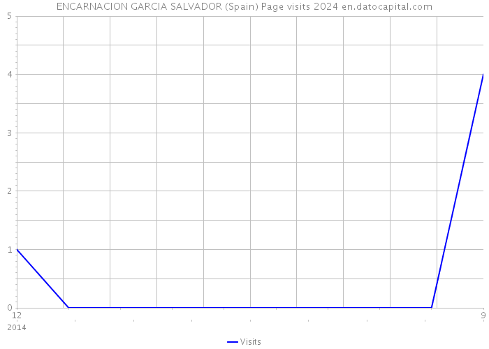 ENCARNACION GARCIA SALVADOR (Spain) Page visits 2024 
