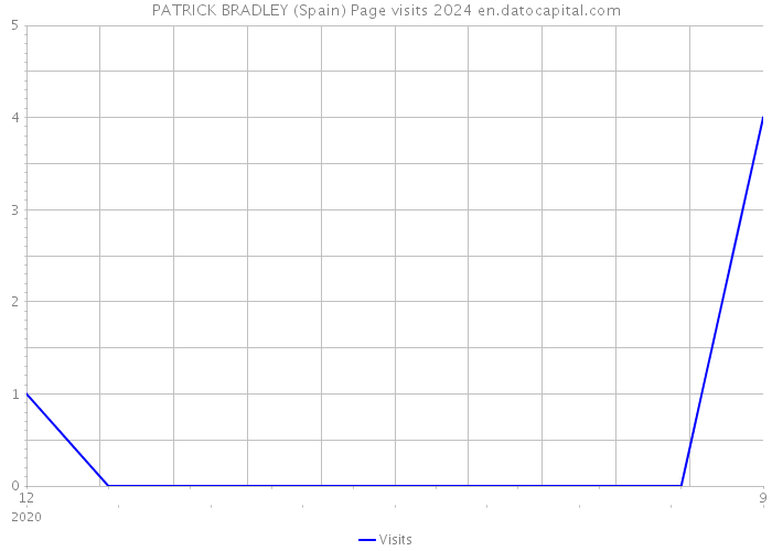 PATRICK BRADLEY (Spain) Page visits 2024 