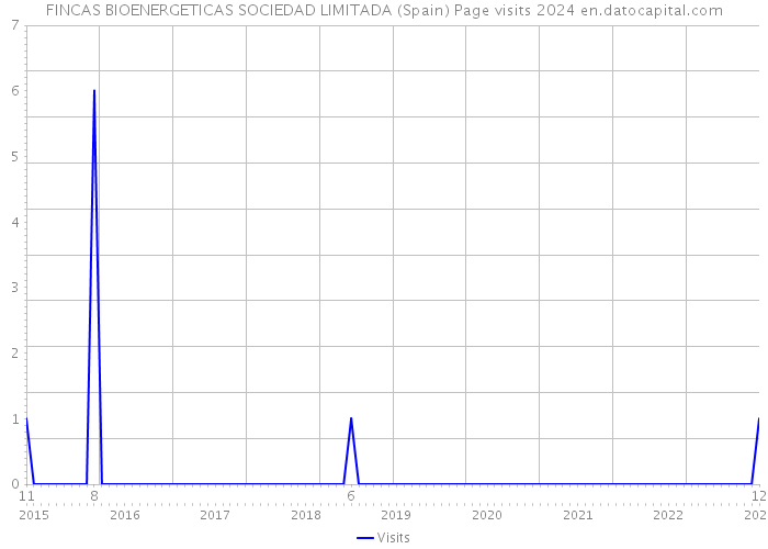 FINCAS BIOENERGETICAS SOCIEDAD LIMITADA (Spain) Page visits 2024 