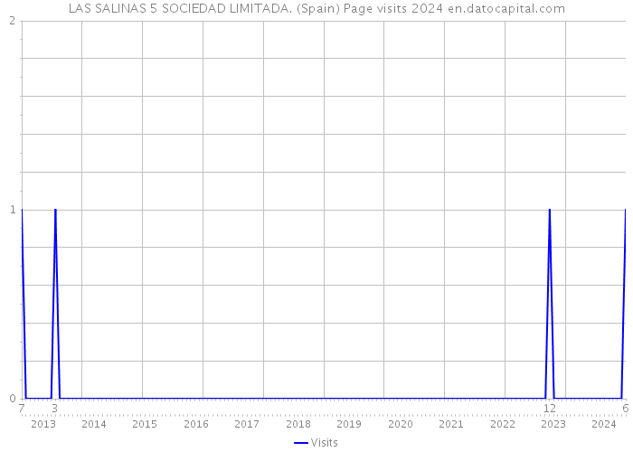 LAS SALINAS 5 SOCIEDAD LIMITADA. (Spain) Page visits 2024 