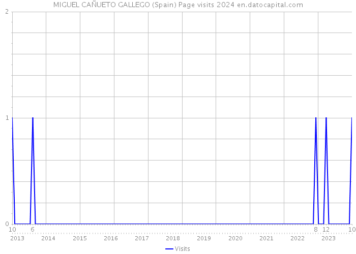 MIGUEL CAÑUETO GALLEGO (Spain) Page visits 2024 
