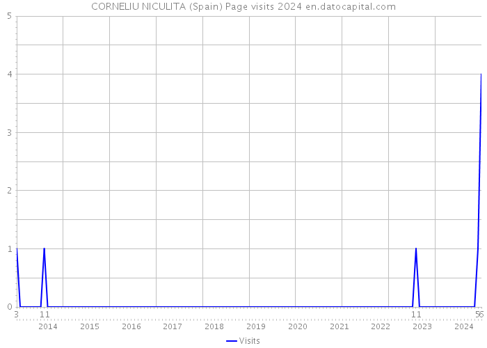 CORNELIU NICULITA (Spain) Page visits 2024 