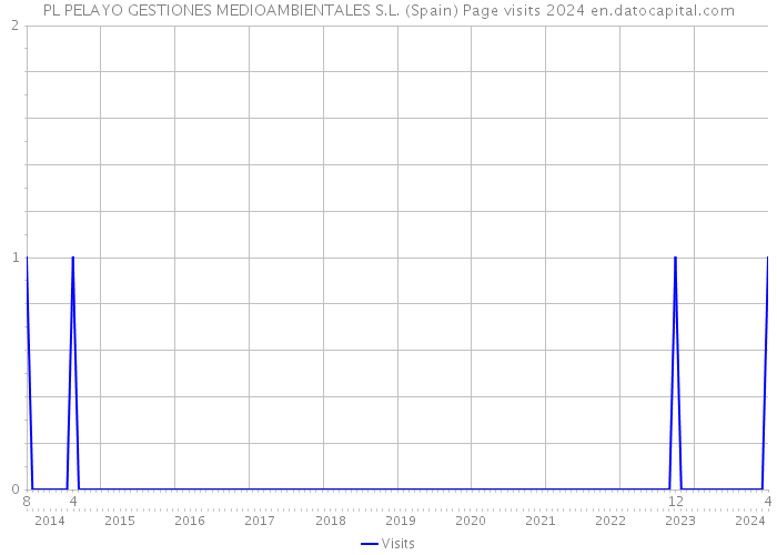 PL PELAYO GESTIONES MEDIOAMBIENTALES S.L. (Spain) Page visits 2024 