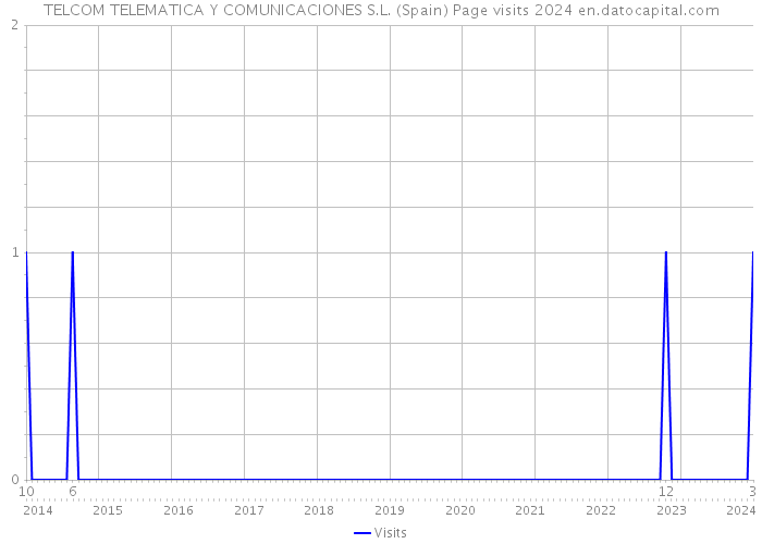 TELCOM TELEMATICA Y COMUNICACIONES S.L. (Spain) Page visits 2024 