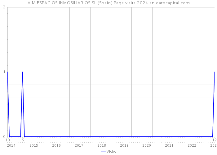 A M ESPACIOS INMOBILIARIOS SL (Spain) Page visits 2024 