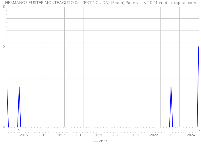 HERMANOS FUSTER MONTEAGUDO S.L. (EXTINGUIDA) (Spain) Page visits 2024 