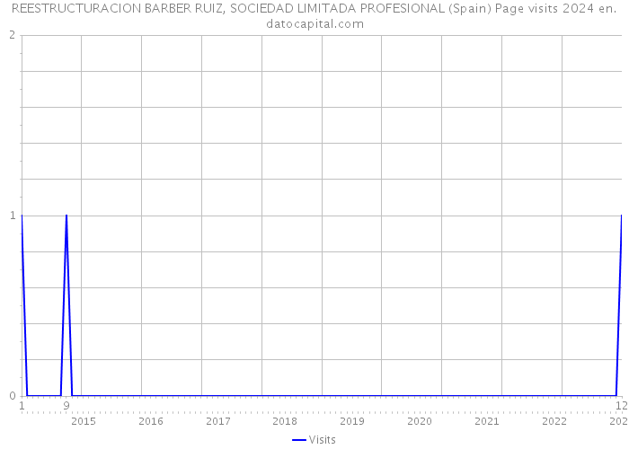 REESTRUCTURACION BARBER RUIZ, SOCIEDAD LIMITADA PROFESIONAL (Spain) Page visits 2024 