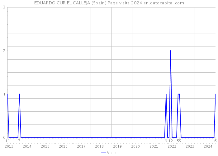 EDUARDO CURIEL CALLEJA (Spain) Page visits 2024 