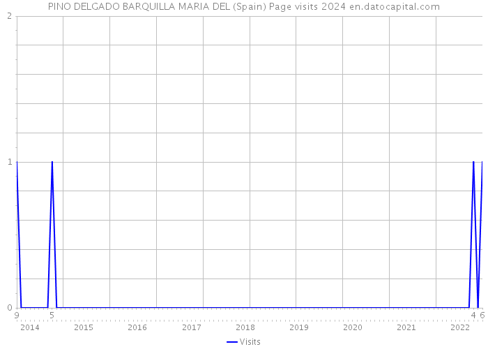 PINO DELGADO BARQUILLA MARIA DEL (Spain) Page visits 2024 