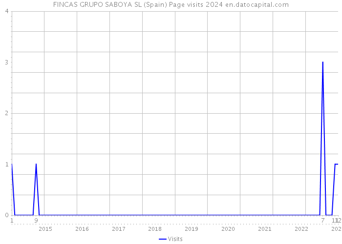 FINCAS GRUPO SABOYA SL (Spain) Page visits 2024 
