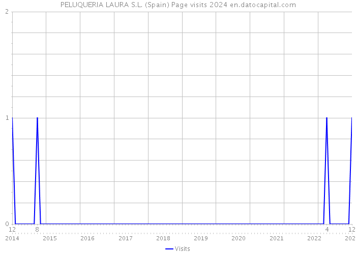 PELUQUERIA LAURA S.L. (Spain) Page visits 2024 