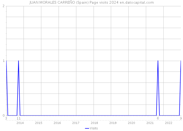 JUAN MORALES CARREÑO (Spain) Page visits 2024 