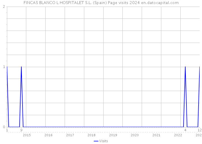 FINCAS BLANCO L HOSPITALET S.L. (Spain) Page visits 2024 