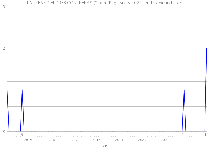 LAUREANO FLORES CONTRERAS (Spain) Page visits 2024 