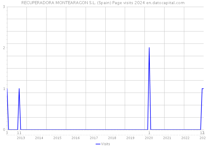 RECUPERADORA MONTEARAGON S.L. (Spain) Page visits 2024 