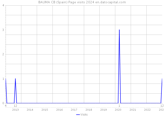 BAUMA CB (Spain) Page visits 2024 