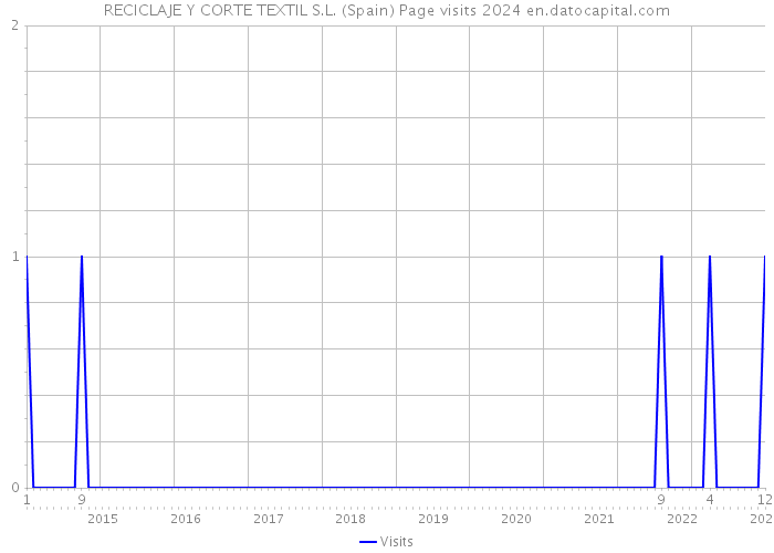 RECICLAJE Y CORTE TEXTIL S.L. (Spain) Page visits 2024 