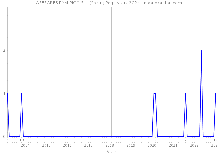 ASESORES PYM PICO S.L. (Spain) Page visits 2024 