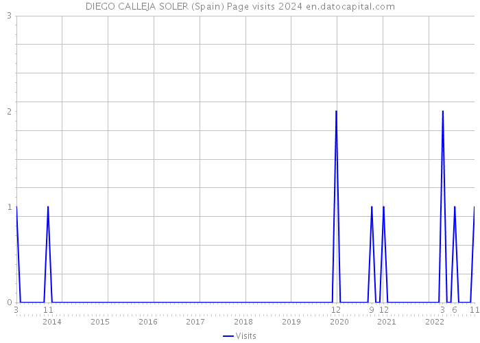 DIEGO CALLEJA SOLER (Spain) Page visits 2024 