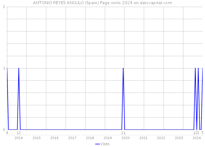 ANTONIO REYES ANGULO (Spain) Page visits 2024 