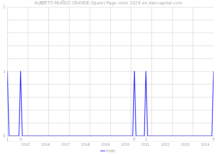 ALBERTO MUÑOZ GRANDE (Spain) Page visits 2024 