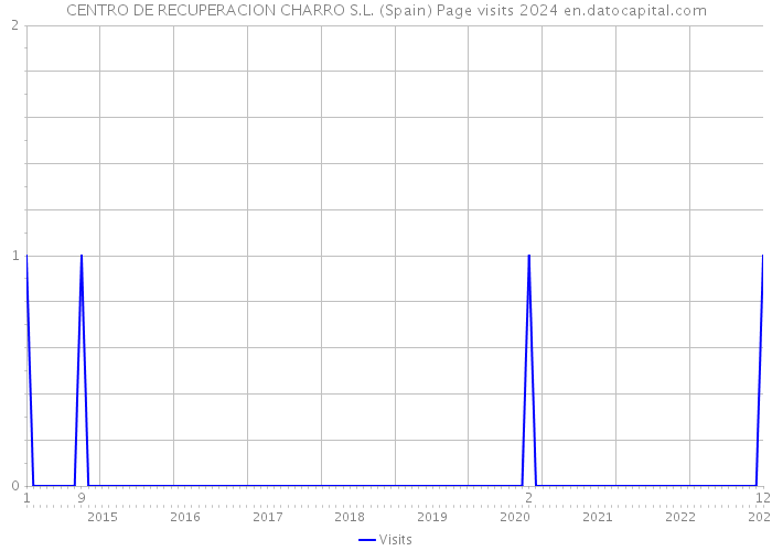 CENTRO DE RECUPERACION CHARRO S.L. (Spain) Page visits 2024 
