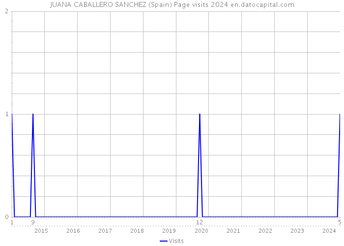 JUANA CABALLERO SANCHEZ (Spain) Page visits 2024 