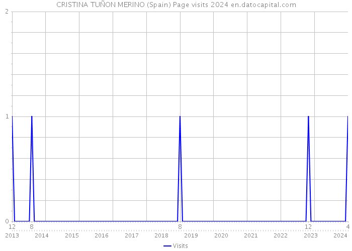 CRISTINA TUÑON MERINO (Spain) Page visits 2024 
