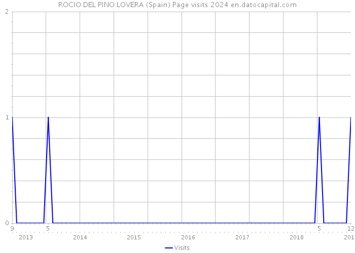 ROCIO DEL PINO LOVERA (Spain) Page visits 2024 