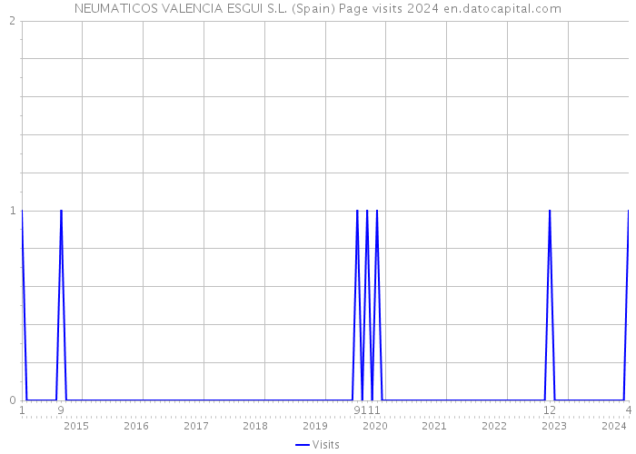 NEUMATICOS VALENCIA ESGUI S.L. (Spain) Page visits 2024 