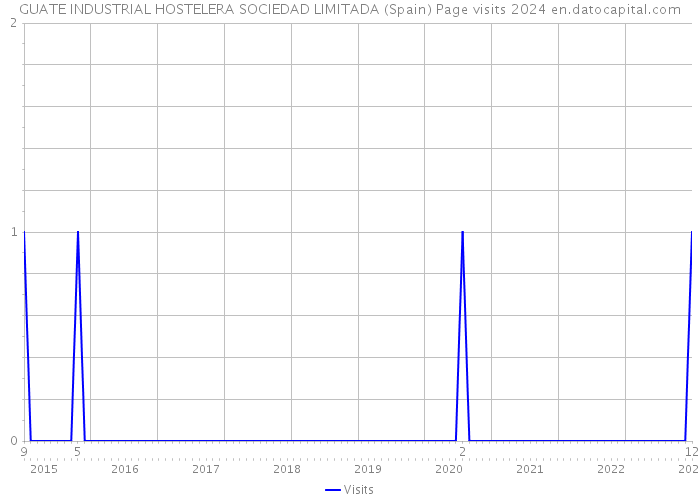 GUATE INDUSTRIAL HOSTELERA SOCIEDAD LIMITADA (Spain) Page visits 2024 